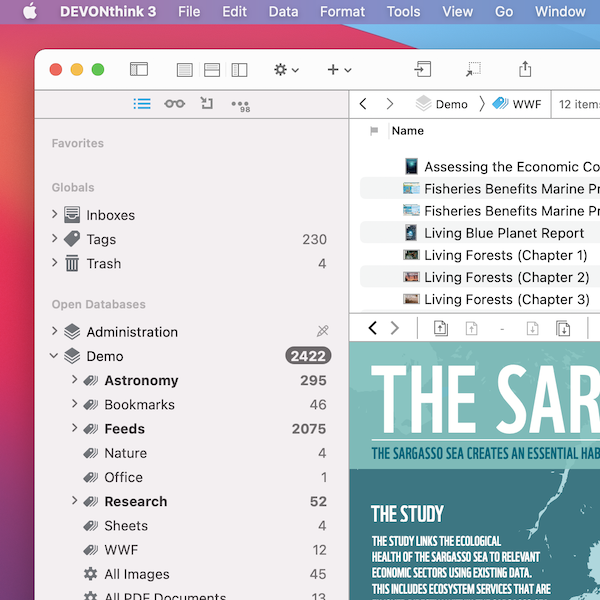 Bildschirmfoto von DEVONthink auf macOS Big Sur