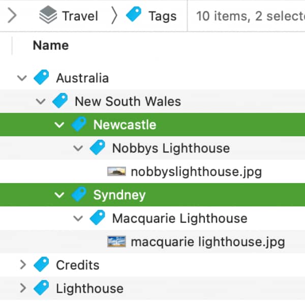 Screenshot showing nested tag groups in DEVONthink. Two of these groups are selected to exemplify the script we discuss in the blog post.